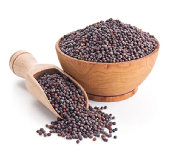 Janta_Rai_Mustard_Seeds_-_Pack_of_2