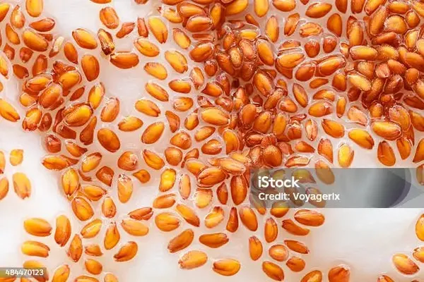 Janta_Flax_Seeds