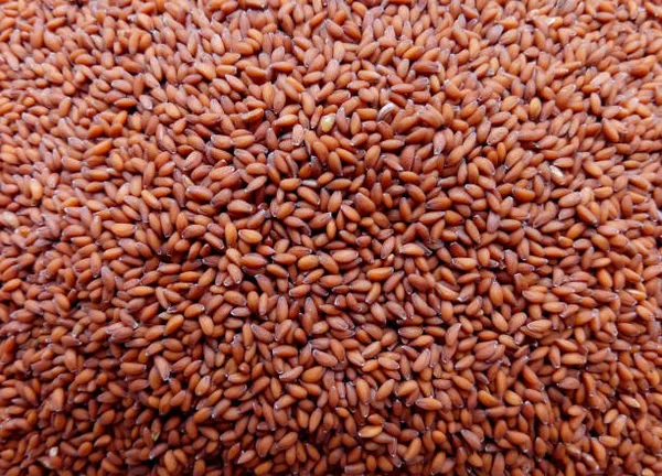 Janta_Flax_Seeds