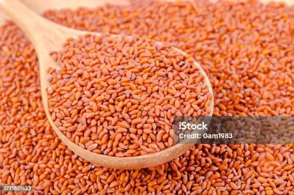 Janta_Flax_Seeds