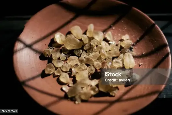 Janta_Edible_Tree_Gum_Gond_Dhav