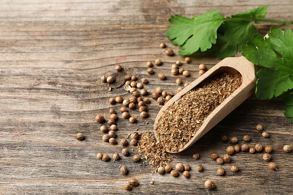 Janta_Whole_Coriander_Seeds