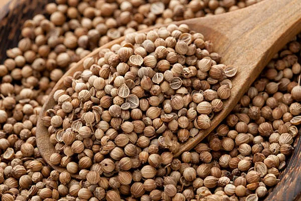 Janta_Whole_Coriander_Seeds