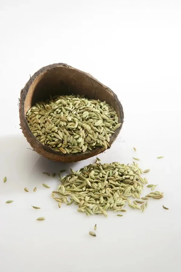 Janta_Fennel_Seeds