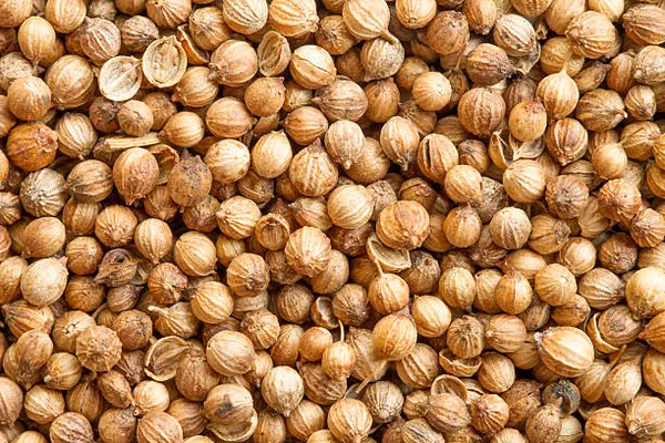 Janta_Whole_Coriander_Seeds