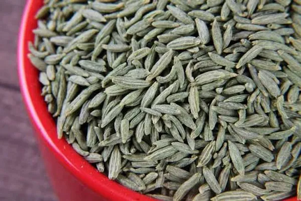 Janta_Fennel_Seeds_Lucknow_Saunf