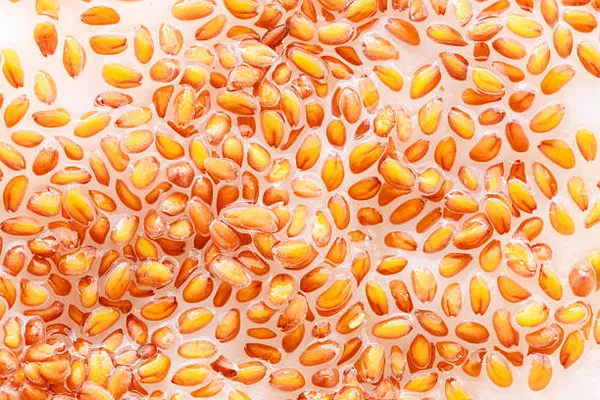 Janta_Flax_Seeds