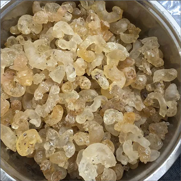 Janta_Edible_Tree_Gum_Gond_Dhav