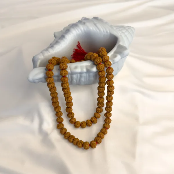 7_Mukhi_Rudraksha_Mala_–_108+1_Beads_(Small)_|_Java