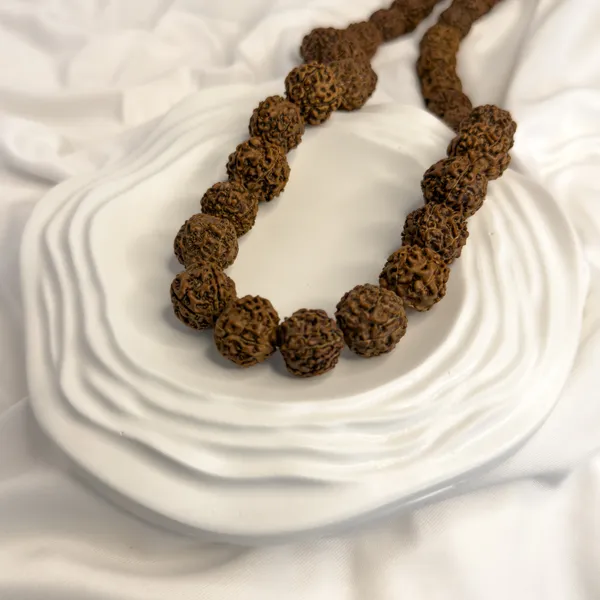 5_Mukhi_Rudraksha_Mala_–_108+1_Beads_(Large_10mm)_|_Java