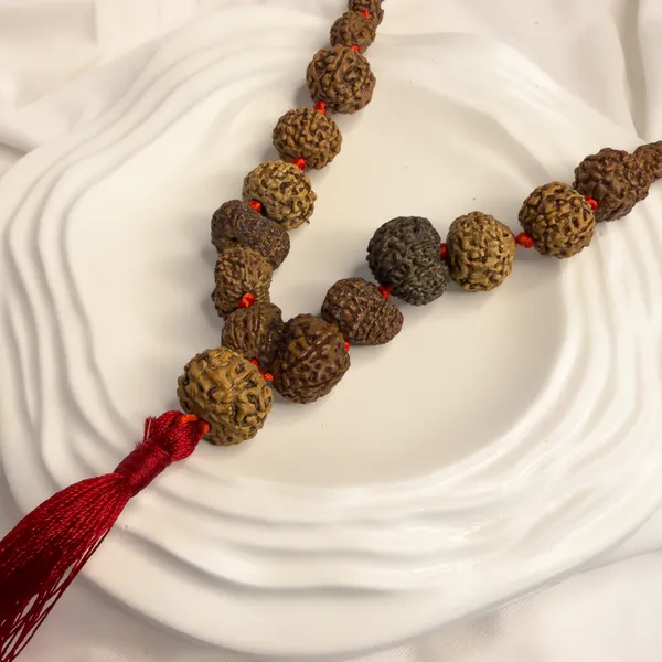 Siddha_Mala_–_1_to_14_Mukhi_Rudraksha_|_Java