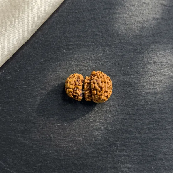 Trijuti_Rudraksha_(Small)_–_Rare_3_Naturally_Joined_Beads_|_Java,_Indonesia