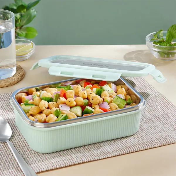 GC_Larah_Freshbyte_Rectangular_Lunch_Box,_Multicolour_|_Random