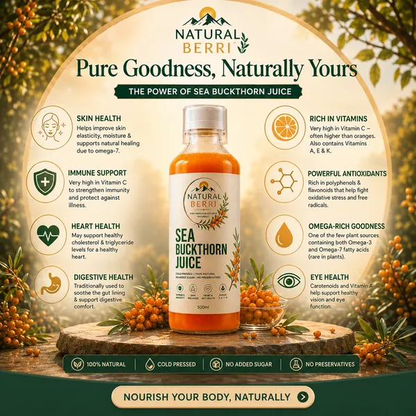 Pack_3_|_100%_Natural_Sea_Buckthorn_Pulp_Pure_Superfood_For_Immunity,_Skin_&_Daily_Wellness
