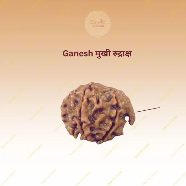 Ganesh_rudraksh
