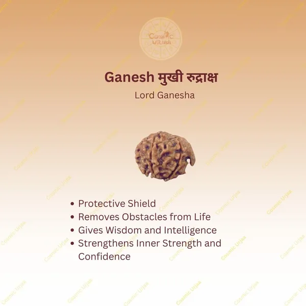 Ganesh_rudraksh