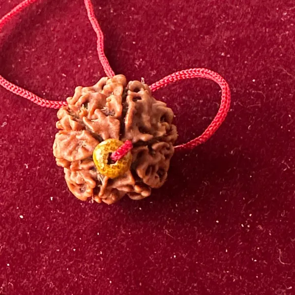 6_Mukhi_Nepali_Rudraksha_Pendant
