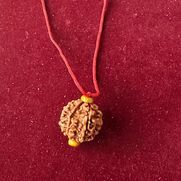 6_Mukhi_Nepali_Rudraksha_Pendant