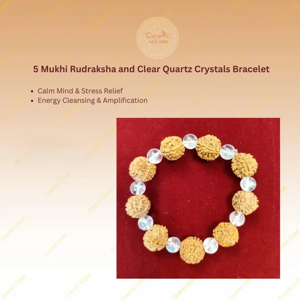 5_Mukhi_Rudraksha_and_Clear_Quartz_Crystals_Bracelet