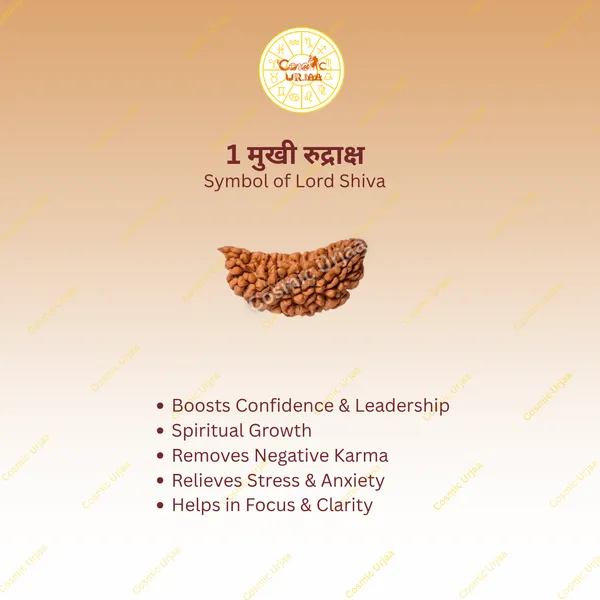 1_Mukhi_Rudraksha