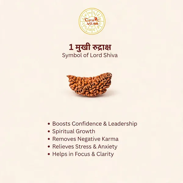 1_Mukhi_Rudraksha