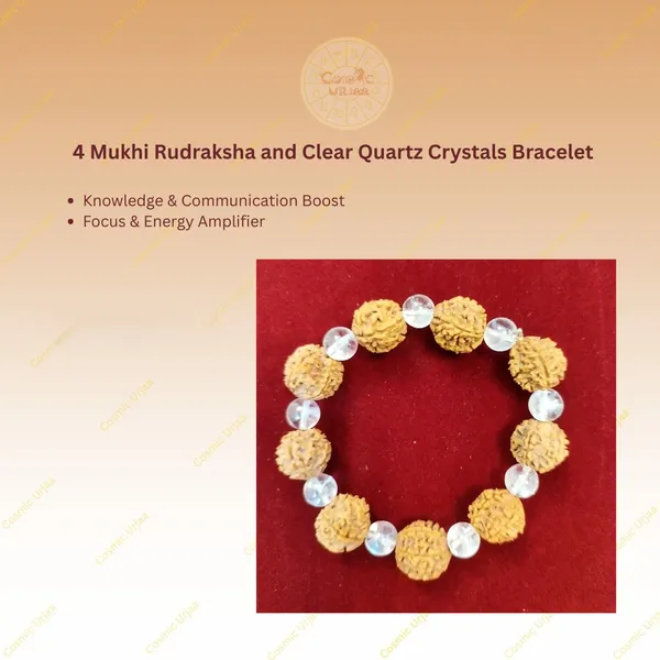 4_Mukhi_Rudraksha_and_Clear_Quartz_Crystals_Bracelet