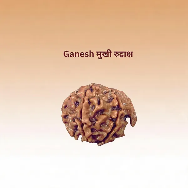 Ganesh_rudraksh