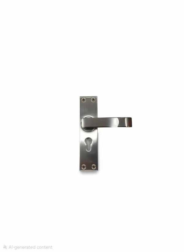 Zinc_Alloy_Mortise_Lock_Door_Accessory