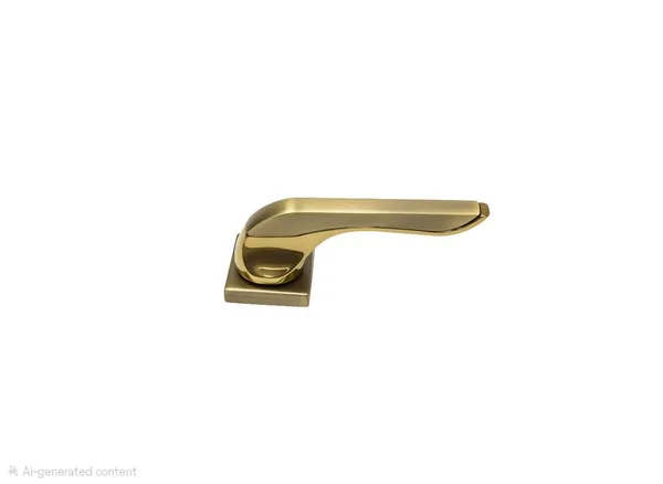 Zinc_Alloy_Mortise_Lock_Door_Accessory