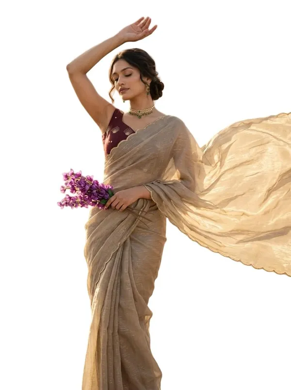 Chikumaroon_Star_Georgette_Embroidered_Saree_For_Women