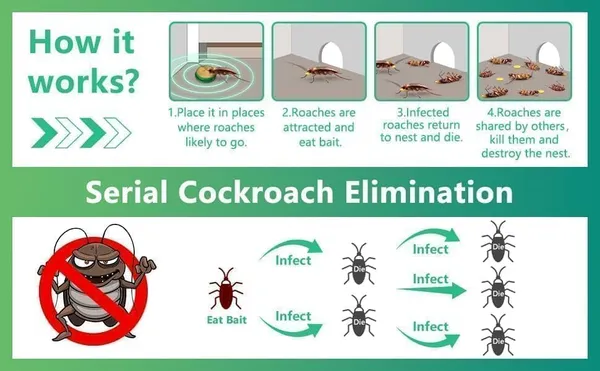 Cockroach_Killer_Gel_for_Home_(BUY_12pcs_GET_12pcs_FREE)