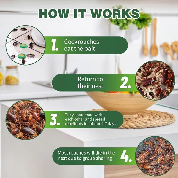 Cockroach_Killer_Gel_for_Home_(BUY_12pcs_GET_12pcs_FREE)