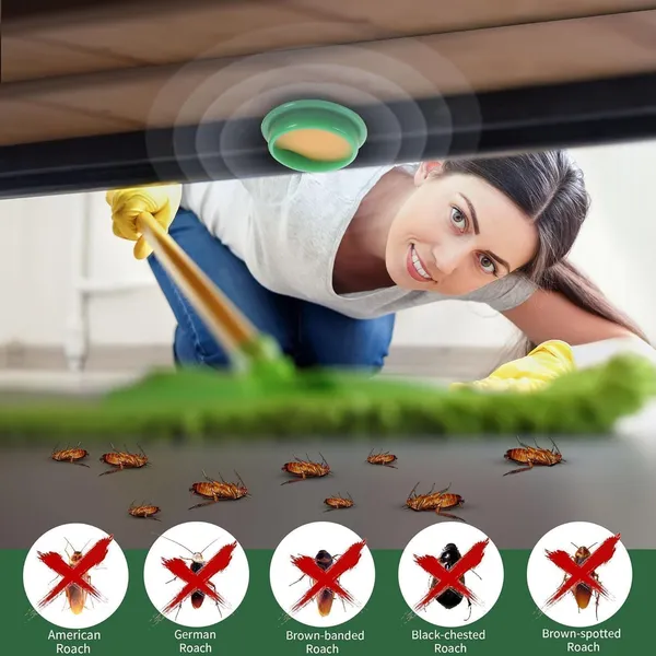 Cockroach_Killer_Gel_for_Home_(BUY_12pcs_GET_12pcs_FREE)