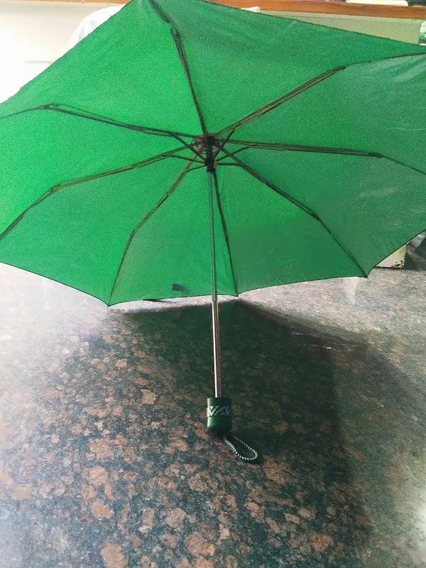 Green_Polyester_Foldable_Umbrella_For_Adults