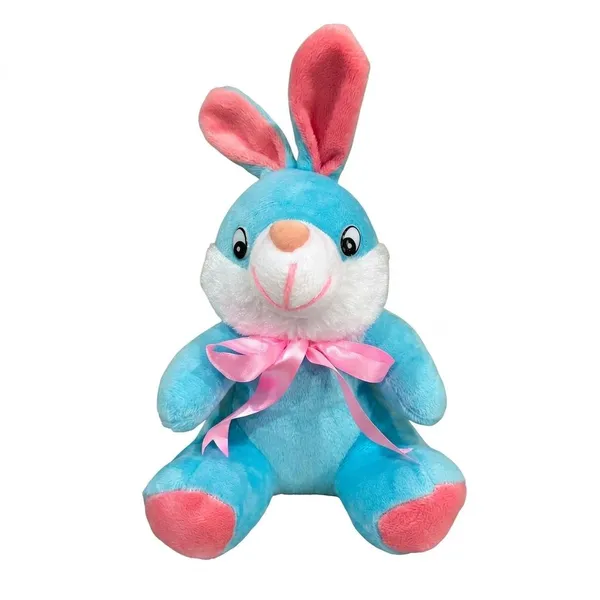 FunToys_Plush_Teddy_Bear_And_Plush_Bunny_Toy_For_Kids_Pack_Of_2