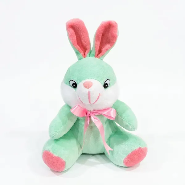 FunToys_Plush_Teddy_Bear_And_Plush_Bunny_Toy_For_Kids_Pack_Of_2