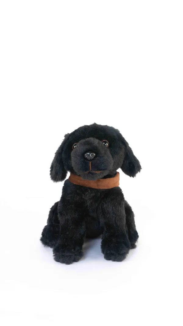 A_sweet_and_squishy_little_puppy,_waiting_for_a_warm_hug._Plush_Puppy_Toy_20cm