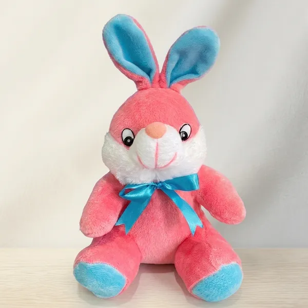 FunToys_Plush_Bunny_Toy_And_Plush_Teddy_Bear_For_Kids_Pack_Of_2
