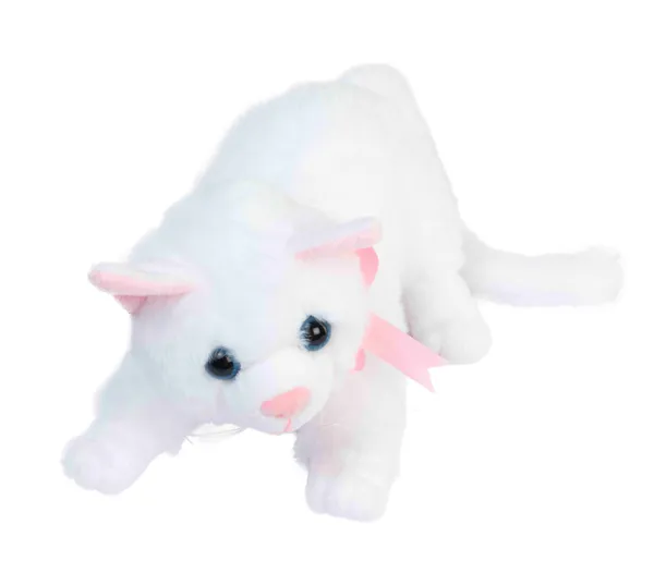 Purr-fectly_soft_and_ready_to_cuddle._Your_new_favorite_feline_friend._Plush_Cat_Toy_23cm