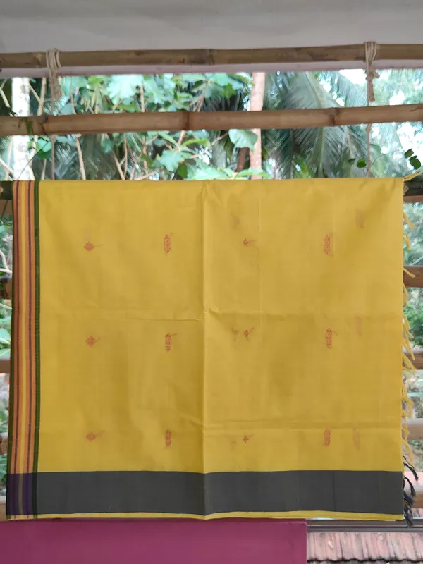 Srinakshgeeth_Udupi_Handloom_Gi_Tagged_Saree_Golden_Mustard_With_Vibrant_Orange_Pallu_Kalpana_Special_60_Count_With_Chandrika_Drop_Butta