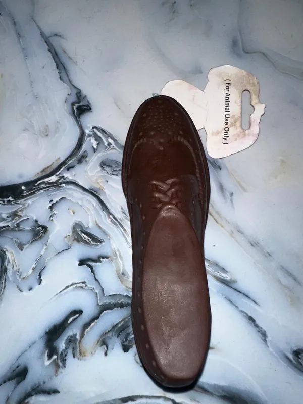 Squeaky_Shoe_Shaped_Toy