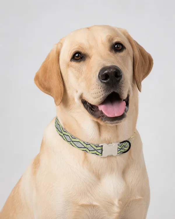 Adjustable_Nylon_Pet_Collar_With_Geometric_Pattern