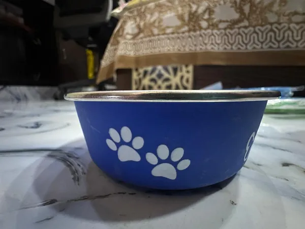 Printed_Dog_Feeding_Bowl_Small_Pack_Of_2