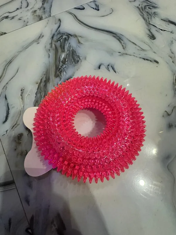 Spiked_Ring_Squeaky_Toy_With_Light
