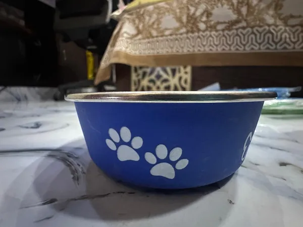 Printed_Dog_Feeding_Bowl_Small_Pack_Of_2