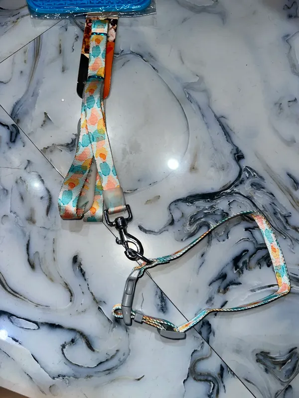 Adjustable_Printed_Dog_Collar_And_Leash_Set