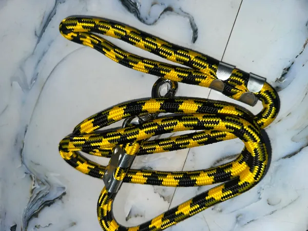 Nylon_Dog_Rope_Leash