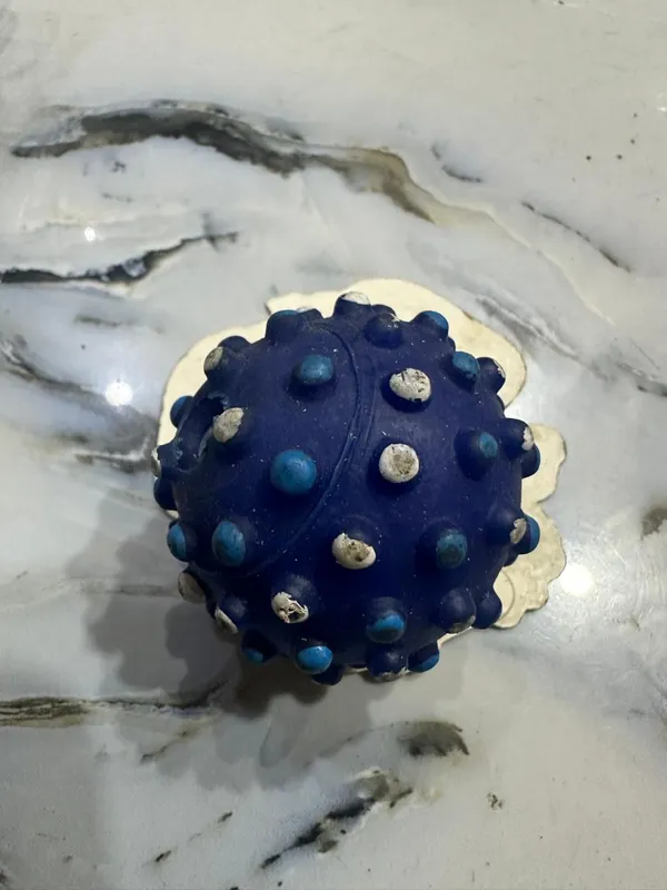 Squeaky_Textured_Ball_Small
