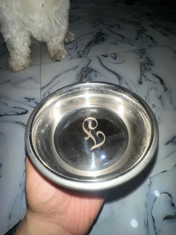 Printed_Dog_Feeding_Bowl_Small_Pack_Of_2