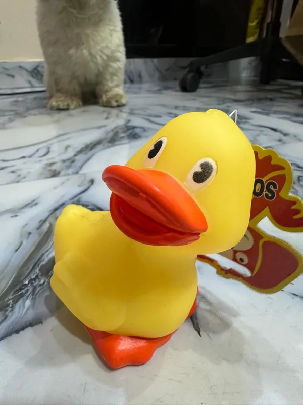 Squeaky_Toy_Duck_Pack_Of_2